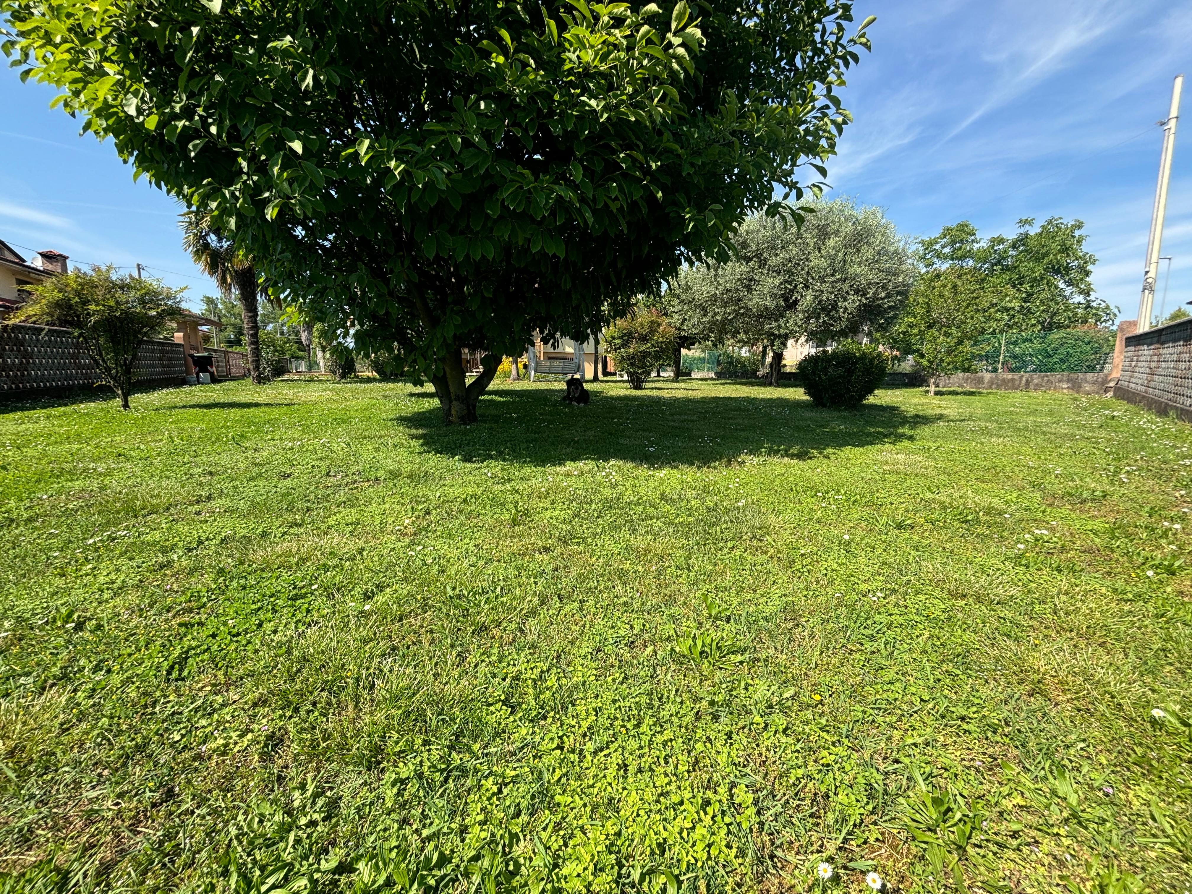 Il giardino di 400 metri quadrati di casa della nonna